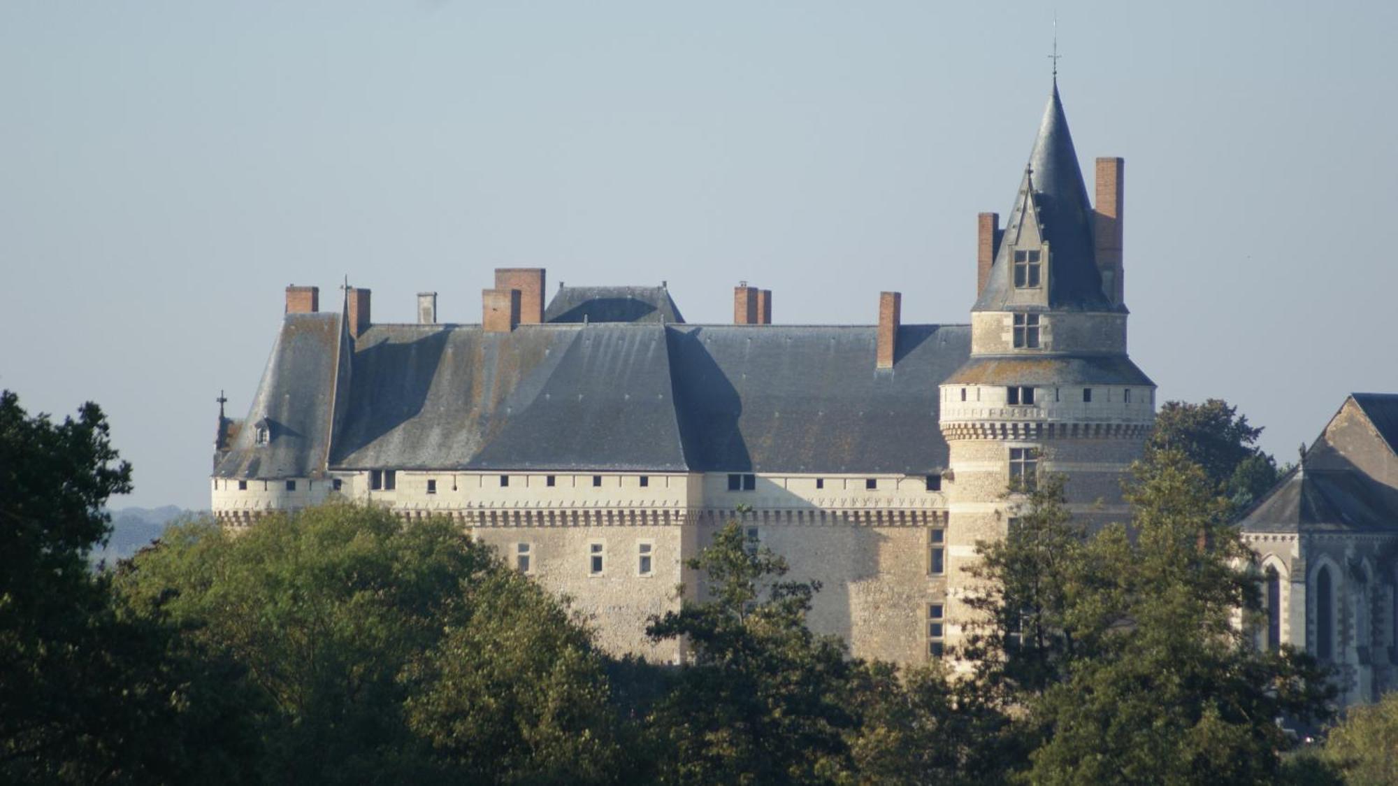 Bed and Breakfast Chateau De Durtal Exterior foto